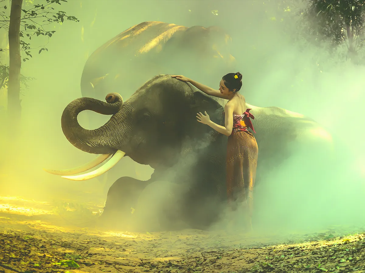 VFX and compositing